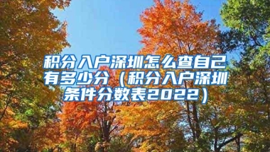 积分入户深圳怎么查自己有多少分（积分入户深圳条件分数表2022）