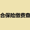 上海综合保险可以转社保吗？上海综合保险怎么领取？上海综合保险缴费查询方法