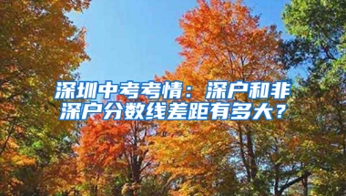 深圳中考考情：深户和非深户分数线差距有多大？