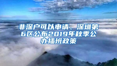 非深户可以申请、深圳第6区公布2019年秋季公办插班政策