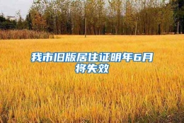 我市旧版居住证明年6月将失效