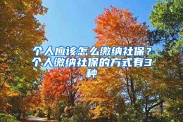 个人应该怎么缴纳社保？个人缴纳社保的方式有3种