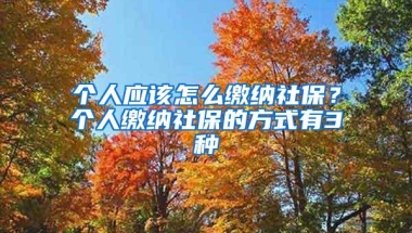 个人应该怎么缴纳社保？个人缴纳社保的方式有3种