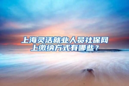 上海灵活就业人员社保网上缴纳方式有哪些？