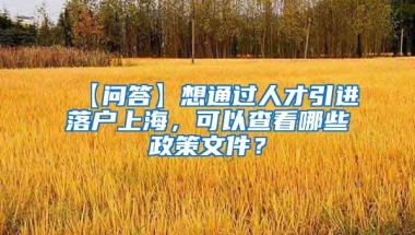 【问答】想通过人才引进落户上海，可以查看哪些政策文件？