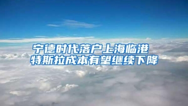 宁德时代落户上海临港 特斯拉成本有望继续下降