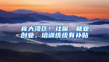 揾食大湾区！社保、就业、创业、培训统统有补贴