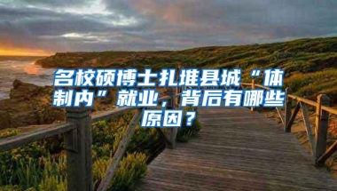 名校硕博士扎堆县城“体制内”就业，背后有哪些原因？