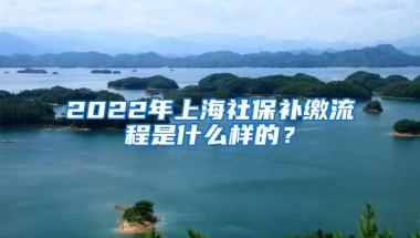 2022年上海社保补缴流程是什么样的？