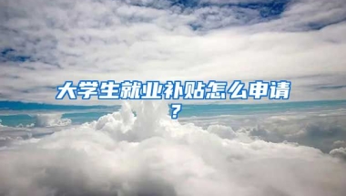 大学生就业补贴怎么申请？