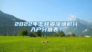 2022年怎样查深圳积分入户分值表？