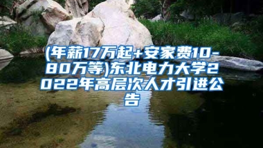 (年薪17万起+安家费10-80万等)东北电力大学2022年高层次人才引进公告