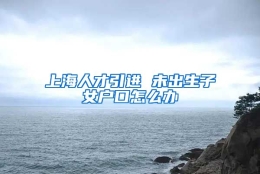 上海人才引进 未出生子女户口怎么办