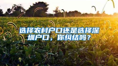 选择农村户口还是选择深圳户口，你纠结吗？