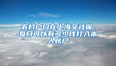 农村户口在上海交社保，每月可以有多少钱打入本人账户