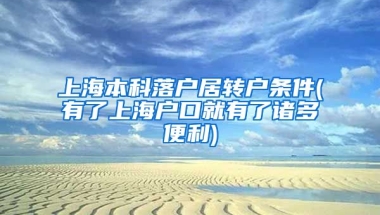 上海本科落户居转户条件(有了上海户口就有了诸多便利)