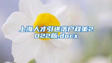 上海人才引进落户政策2022版.docx