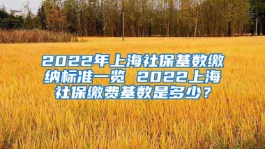 2022年上海社保基数缴纳标准一览 2022上海社保缴费基数是多少？