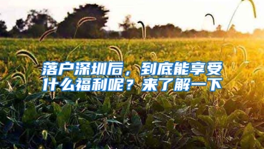 落户深圳后，到底能享受什么福利呢？来了解一下