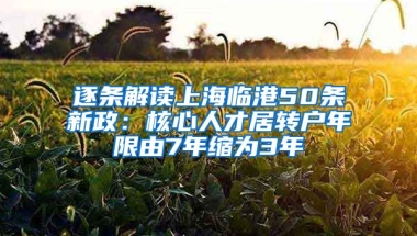 逐条解读上海临港50条新政：核心人才居转户年限由7年缩为3年