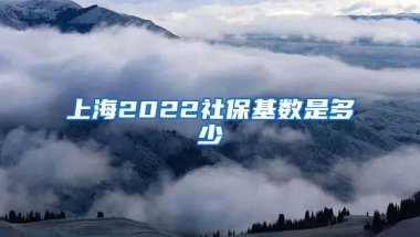 上海2022社保基数是多少