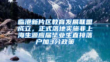 临港新片区教育发展联盟成立，正式落地实施非上海生源应届毕业生直接落户加3分政策