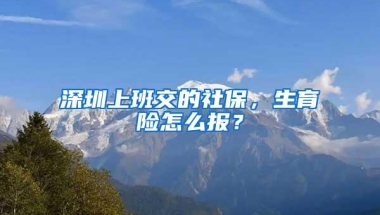 深圳上班交的社保，生育险怎么报？