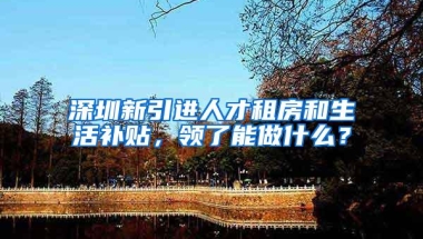 深圳新引进人才租房和生活补贴，领了能做什么？