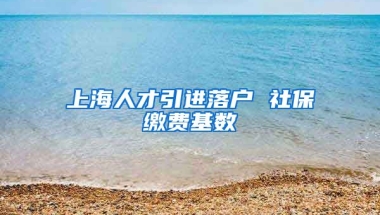 上海人才引进落户 社保缴费基数