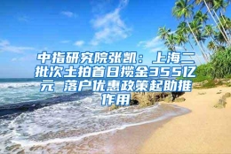 中指研究院张凯：上海二批次土拍首日揽金355亿元 落户优惠政策起助推作用