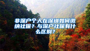 非深户个人在深圳如何缴纳社保？与深户社保有什么区别？