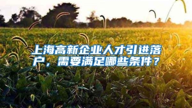 上海高新企业人才引进落户，需要满足哪些条件？