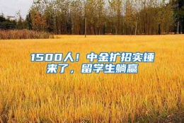 1500人！中金扩招实锤来了，留学生躺赢