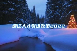 通辽人才引进政策2022