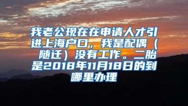 我老公现在在申请人才引进上海户口，我是配偶（ 随迁）没有工作。二胎是2018年11月18日的到哪里办理