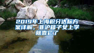 2019年上海积分达标方案详解，非沪籍子女上学就靠它了