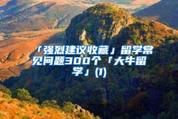 「强烈建议收藏」留学常见问题300个「大牛留学」(1)