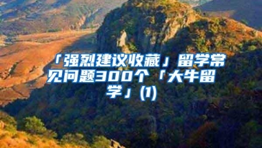 「强烈建议收藏」留学常见问题300个「大牛留学」(1)