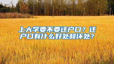 上大学要不要迁户口？迁户口有什么好处和坏处？