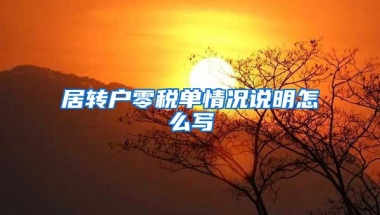 居转户零税单情况说明怎么写