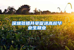 深圳多措并举促进高校毕业生就业