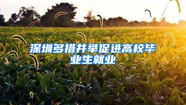 深圳多措并举促进高校毕业生就业