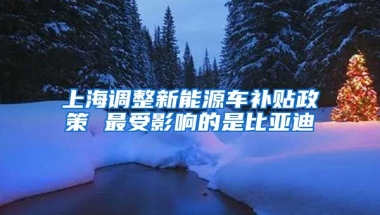 上海调整新能源车补贴政策 最受影响的是比亚迪