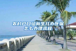 农村户口给新生儿办医保怎么办理流程