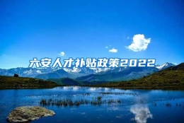 六安人才补贴政策2022