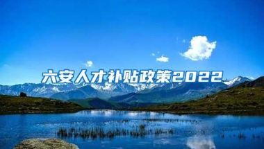 六安人才补贴政策2022