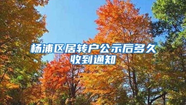 杨浦区居转户公示后多久收到通知