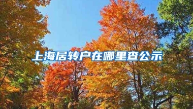 上海居转户在哪里查公示