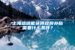 上海培训能获得政府补贴需要什么条件？