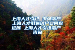 上海人才引进 海龟落户 上海人才引进落户如何查进展 上海人才引进落户 咨询